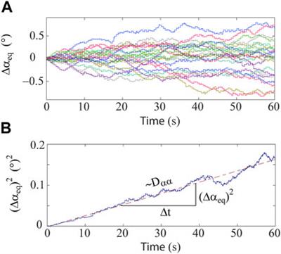 Differentiating Between the Leading Processes for Electron Radiation Belt Acceleration